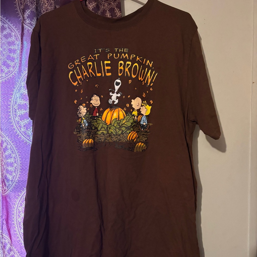 Brown Charlie Brown Graphic T-Shirt